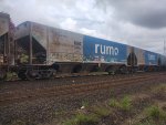 RUMO HPT-032934-7